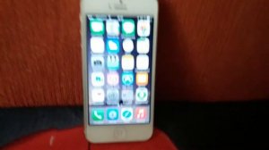 Опыт использования iPhone 5