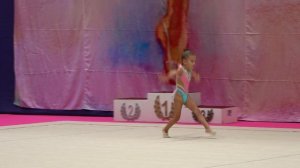 художественная гимнастика