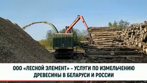 Дробилка древесины Pezzolato PTH 1000/1000 производит топливную щепу