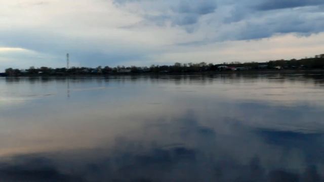 Белуга в Онеге смотреть онлайн