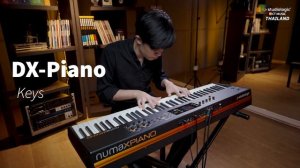 Studiologic Numa X Piano Sound Test (no talk)
