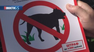 Где и как выгуливать собаку? Жителей наказывают за отсутствие у питомца поводка и намордника