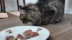 Что кот выберет ? Сырую или варёную печень?