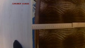 Тест катушки x35 для XP DEUS