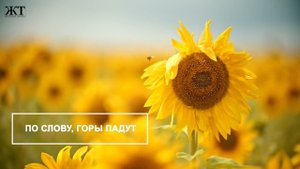 NUTEKI WORSHIP - Рыба и хлеб ♫