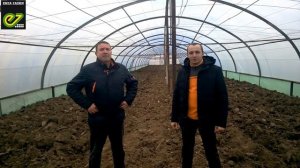 Опыт выращивания огурцов Enza Zaden (Седрик F1, Бьерн F1)