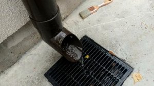 Как выглядит и работает ливневка