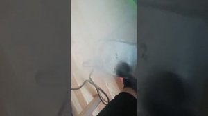 Победи кастрюлю с пароочистителем от #kitfort.