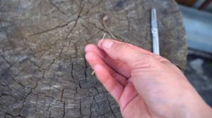 УДОЧКА СВОИМИ РУКАМИ, РЫБАЛКА С САМОДЕЛЬНОЙ УДОЧКОЙ