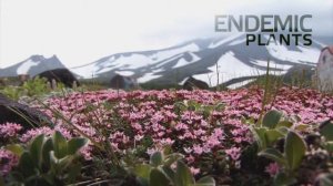 Kamchatka  Presentation Of Kamchatka  Камчатка  ПРЕЗЕНТАЦИЯ '10 REASONS TO VISIT KAMCHATKA'