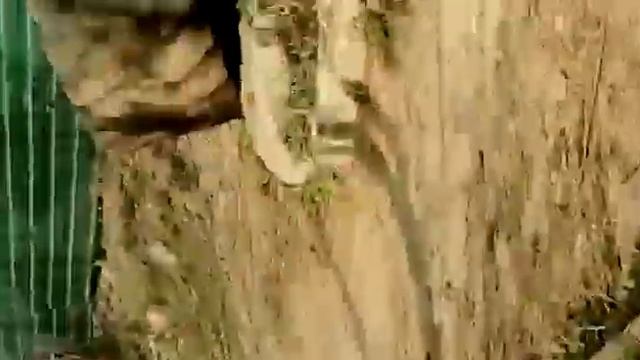 Исследование заброшенной железной дороги смотреть онлайн