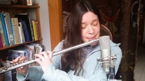 ✨ Heuliad Gavotenn 🎼 Flute ✨ Breton Music