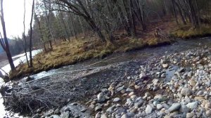 Однодневная рыбалка на хариуса по р.Чехан (Таштыпский район, Хакасия)