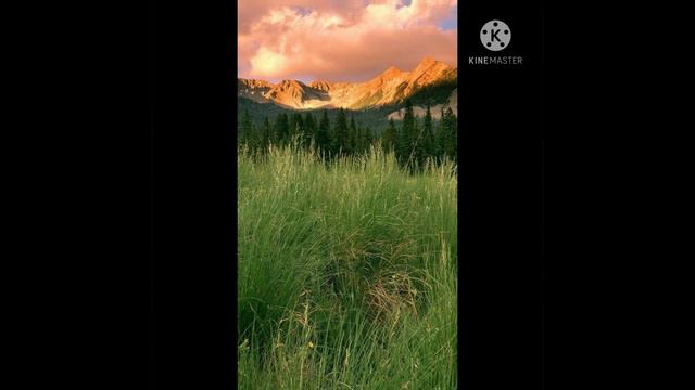 Эсли вы тоже хотите так зделать вам не обходимо скачать предложение хинемастер смотреть онлайн