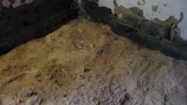 Как ускорить яйценосность гусей зимой и несколько правил сбора инкубационных яйц смотреть онлайн