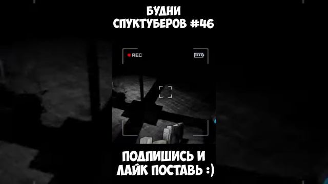 Будни спуктуберов #46 | Content Warning #contentwarning #gaming #игры #будни #games #game