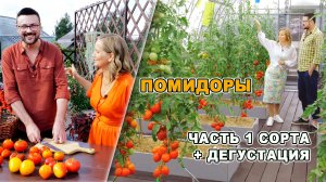 Томаты с фруктовым вкусом проверенные временем. Обзор + дегустация