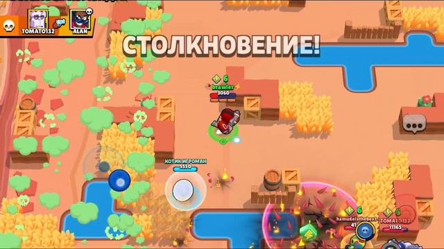 Крыса