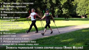 Nordic Walking. Техника ходьбы с палками.
