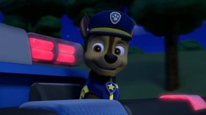 PAW Patrol | Pups Save The Royal Kitties | Ultimate Rescue Episode | PAW Patrol Official & Friends