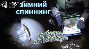 Да ну нафиг! Рыбалка на Москва-реке. Зимний спиннинг в минус -16 Судак на воблеры ночью