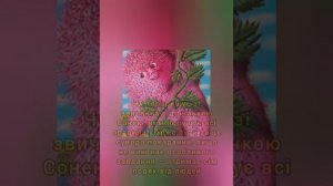 буктрейлер до захоплюючої повісті Чудове Чудовисько