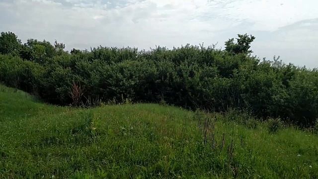Поездка в Глинск, Сумскую область. Поселение скифов, древнерусское городище и скифские курганы.