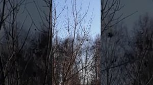 РЕКОМЕНДУЮ. ЧТО МОЖНО И НЕЛЬЗЯ ДЕЛАТЬ В ЦЕРКВИ. ПОДПИСЫВАЮСЬ.