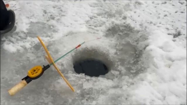 Предпочтения у форели разные, сегодня в меню ИКРА! Клевое место, Юдино смотреть онлайн