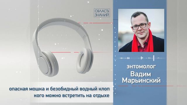 Опасная мошка и безобидный водный клоп. Кого можно встретить на отдыхе? Лекция Вадима Марьинского