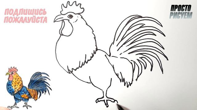Как нарисовать ПЕТУХА, Просто рисуем