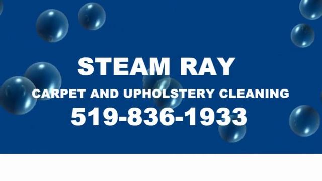 Steam Ray Carpet & Upholster смотреть онлайн