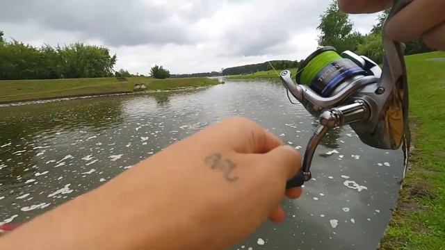 Спиннинг для микроджига, окунь и съедобная резина. Maximus Pointer 22l смотреть онлайн