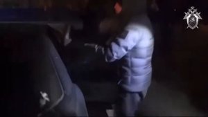 Видеокамеры сняли как украли девочку, но её так и не нашли