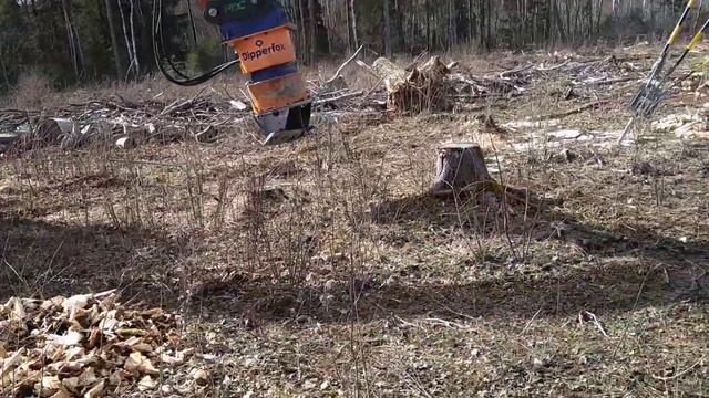 Удаление трех пней без боли и наркоза за 2 минуты. DIPPERFOX 850 PRO в работе