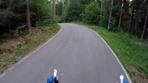 Лыжероллерная трасса рядом с базой отдыха "Чайка" в Смоленской области