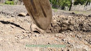 Миксбордер с нуля на бедной земле.