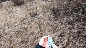 Тест-обзор секатора Центро инструмент 0703