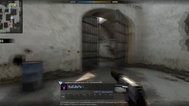 Начало раунда в CS:GO за КТ смотреть онлайн