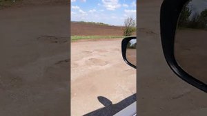 Саратовская область. Трасса сообщением Балашов-Аркадак-Ртищево. 8.05.2019 год. Аркадакский район.