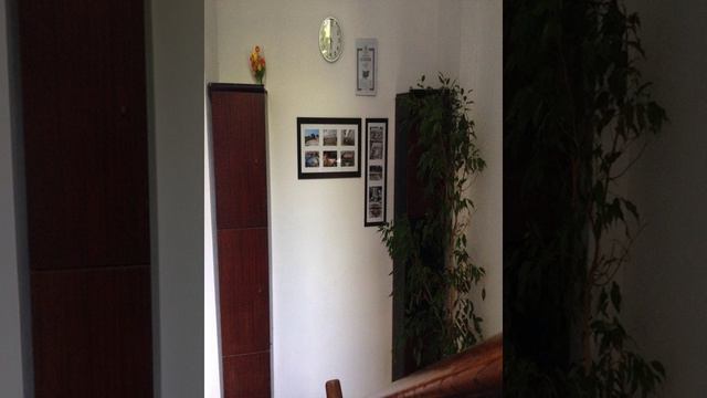 East Gate Guest Rooms - Plovdiv - Bulgaria смотреть онлайн