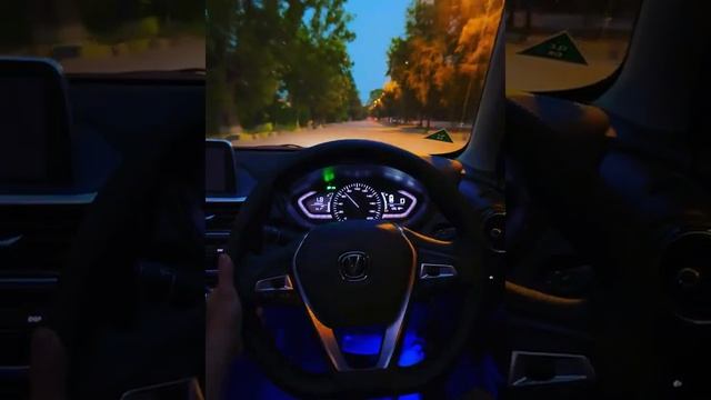 Changan Alsvin Drive || POV ?