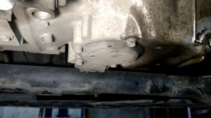 Замена масла Honda Civic гибрид 2009г 1.3L ??