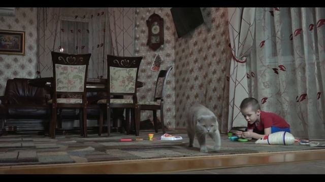Лучший озонатор ОЗон!