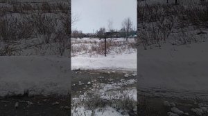 Ирбис тунгус 600. На снегоходе по воде!!!