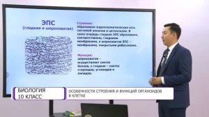 Биология. 10 класс. Особенности строения и функций органоидов в клетке /09.10.2020/