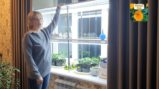 Стеллаж для рассады на подоконнике. Удобно. Красиво. Недорого. смотреть онлайн