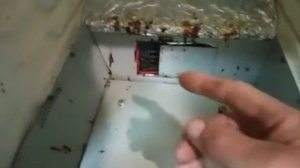 Аппарат для сушки продуктов