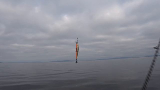 Рыбалка в Карелии. Кумжа. Палия. смотреть онлайн