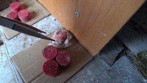 КАК ИЗБАВИТЬСЯ от КРЫС и МЫШЕЙ наглядный пример